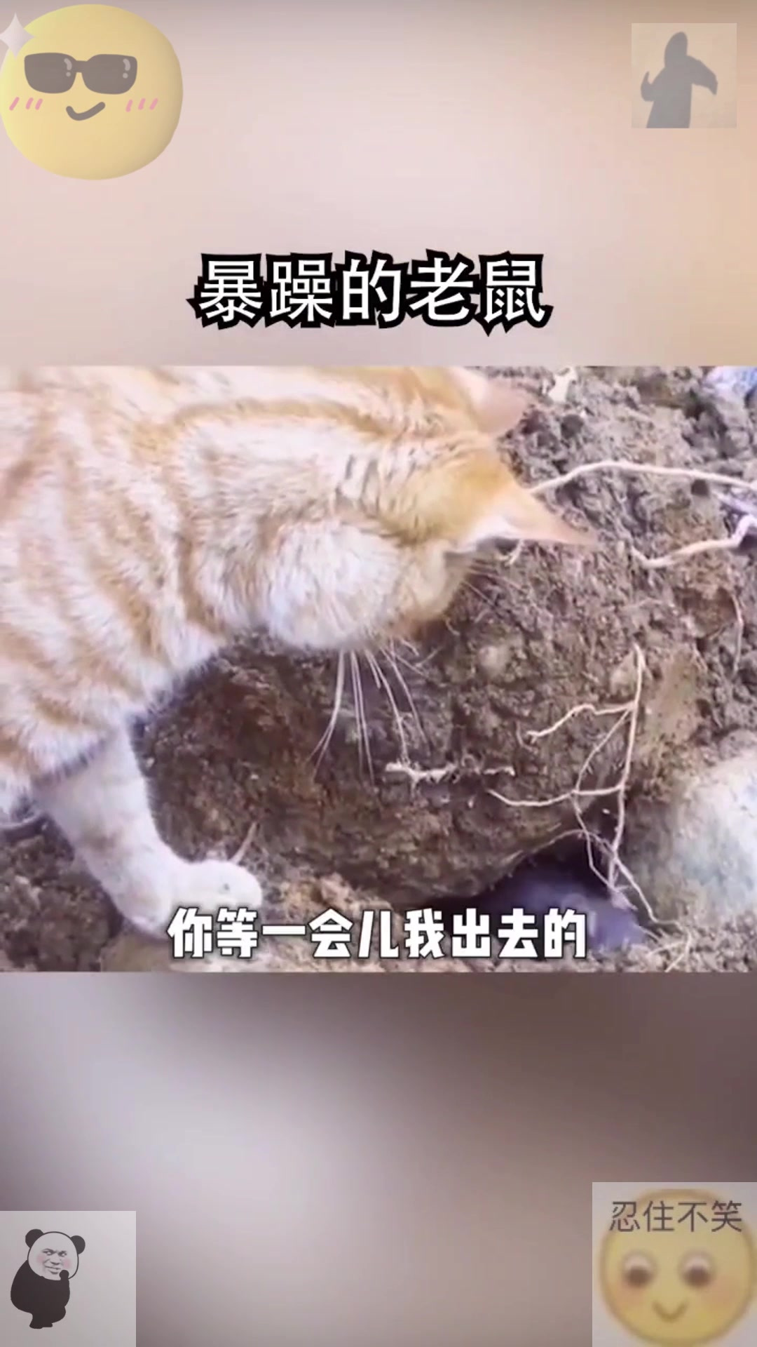 The world is so crazy that mice are bridesmaids for cats.